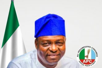 The National Chairman of the All Progressives Congress (APC) is Professor Nentawe Goshwe Yilwatda